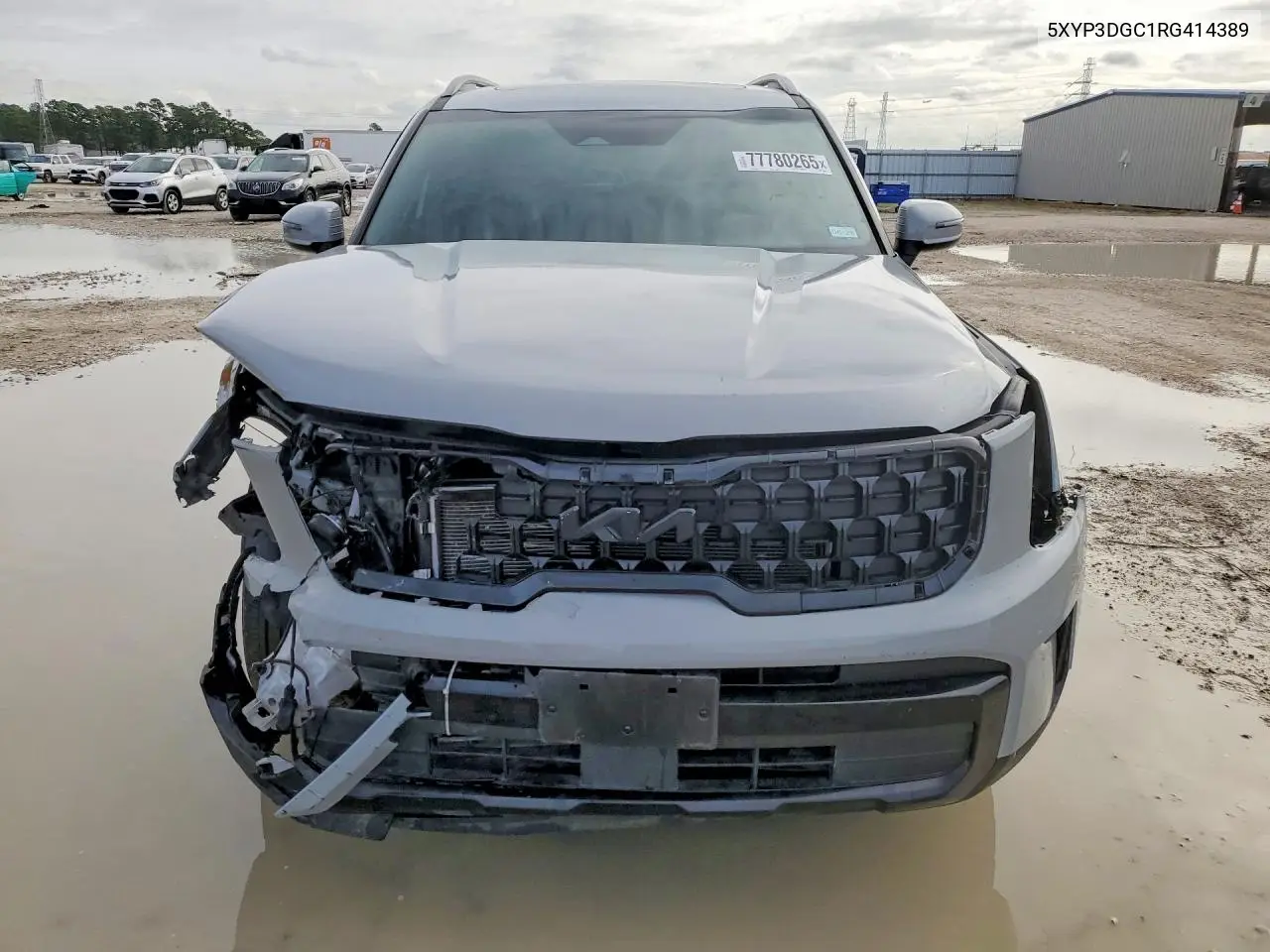 5XYP3DGC1RG414389 2024 Kia Telluride Ex