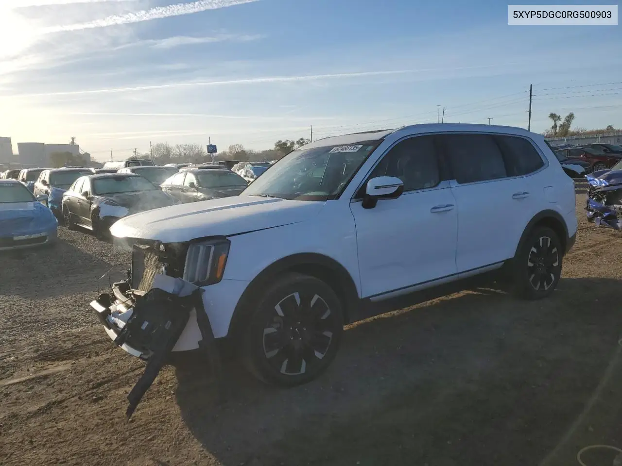 5XYP5DGC0RG500903 2024 Kia Telluride Sx