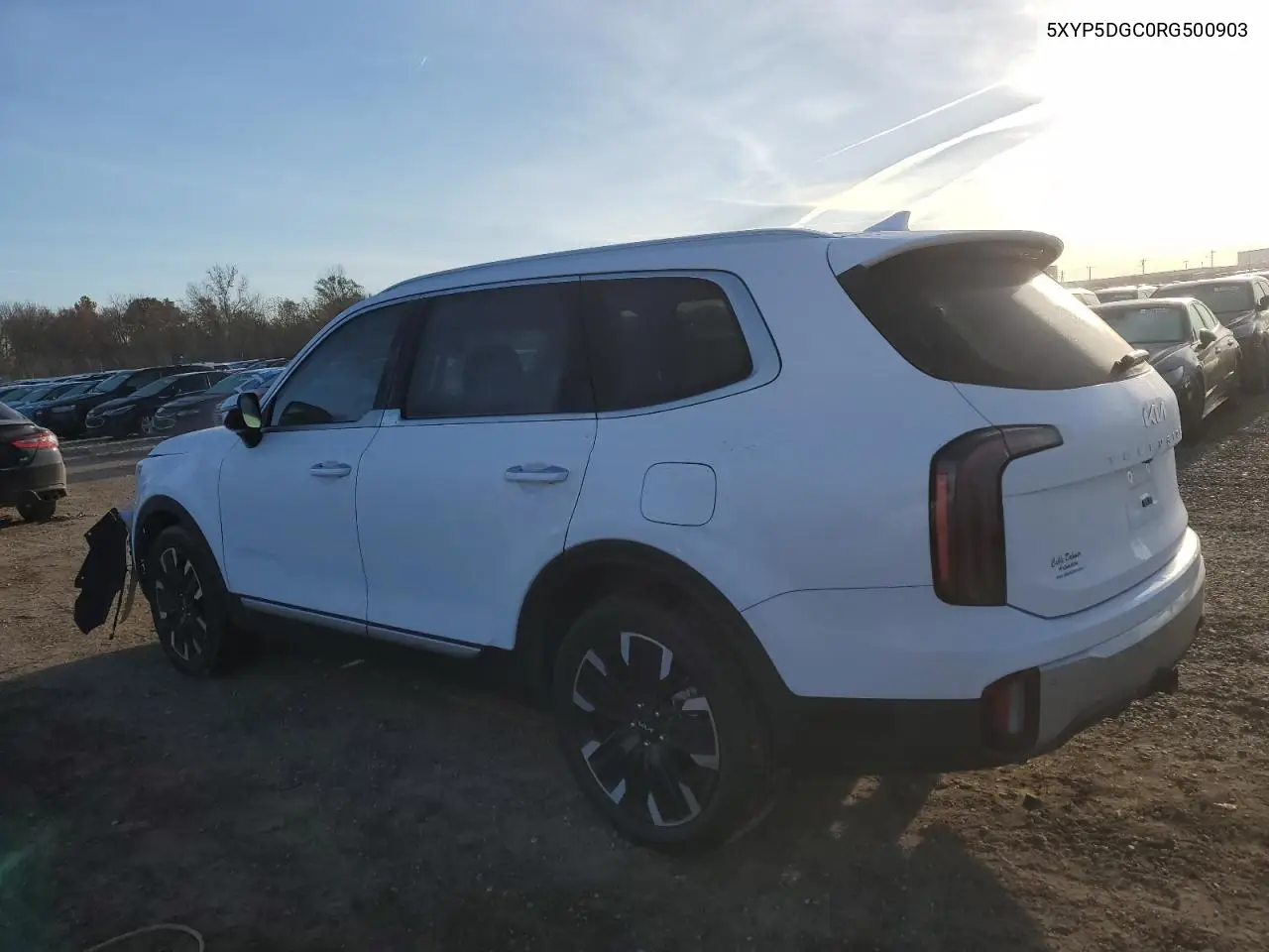 5XYP5DGC0RG500903 2024 Kia Telluride Sx