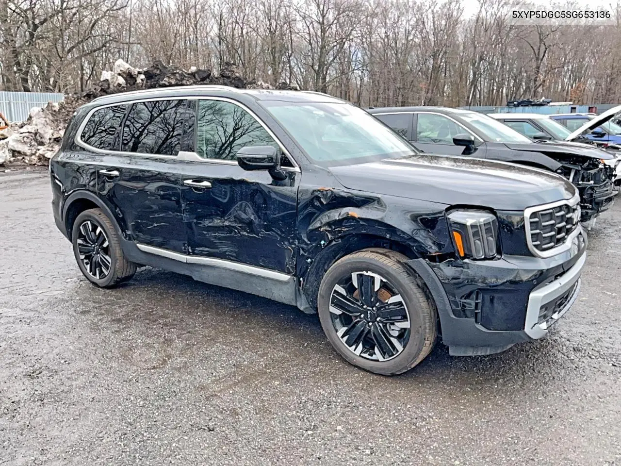 5XYP5DGC5SG653136 2025 Kia Telluride Sx
