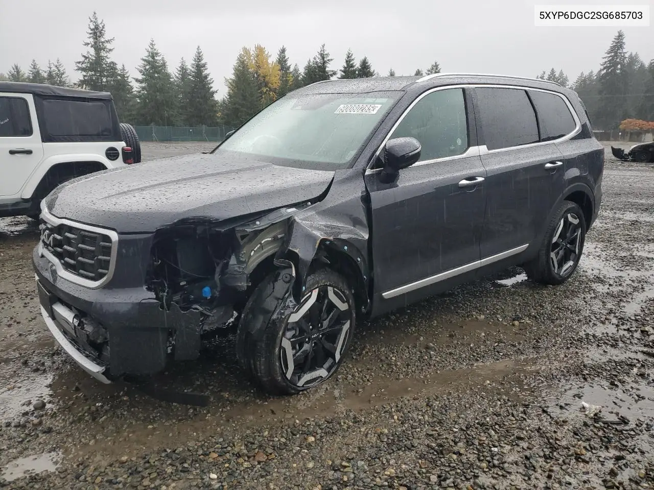 5XYP6DGC2SG685703 2025 Kia Telluride S