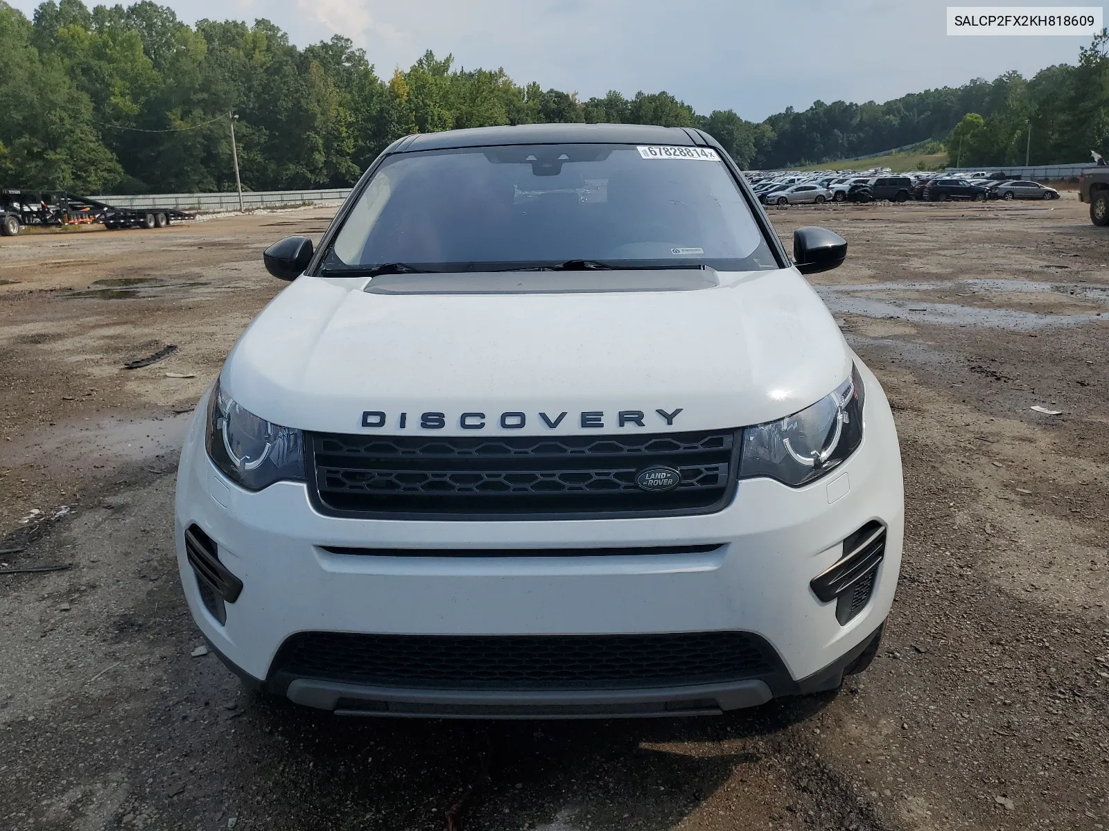 2019 Land Rover Discovery Sport Se VIN: SALCP2FX2KH818609 Lot: 67828814