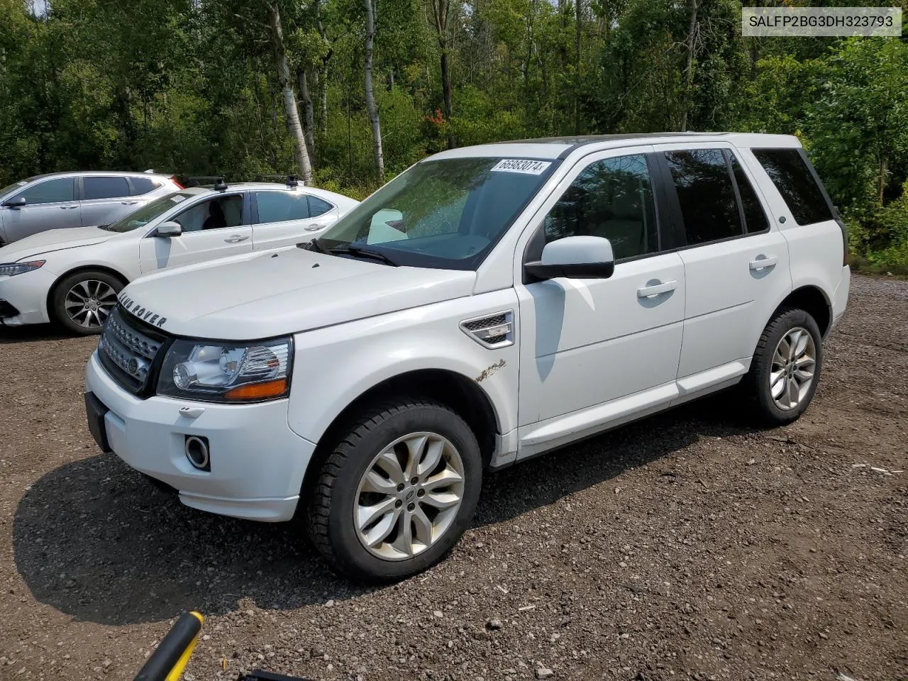 2013 Land Rover Lr2 VIN: SALFP2BG3DH323793 Lot: 66983074