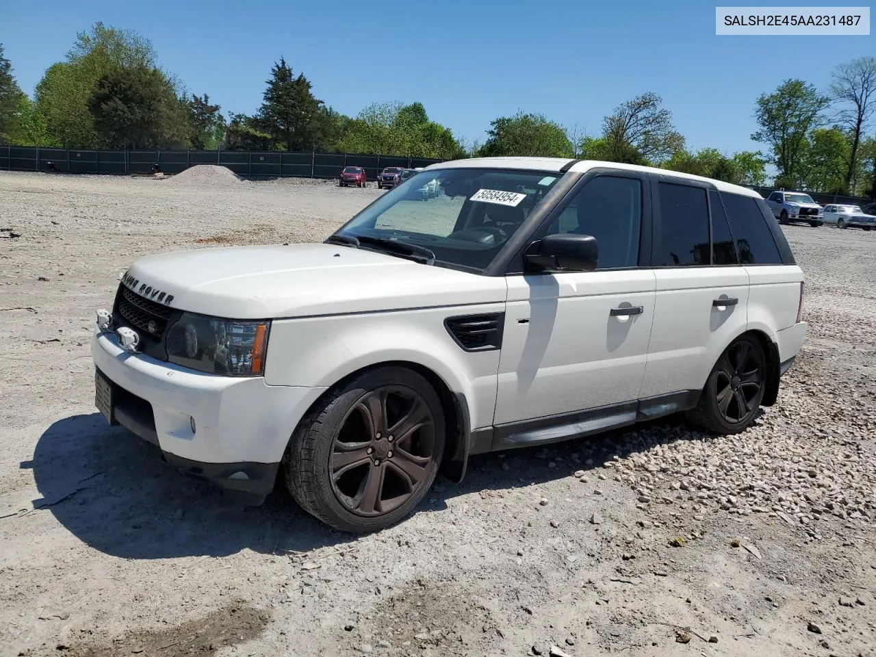 2010 Land Rover Range Rover Sport Sc VIN: SALSH2E45AA231487 Lot: 50584954