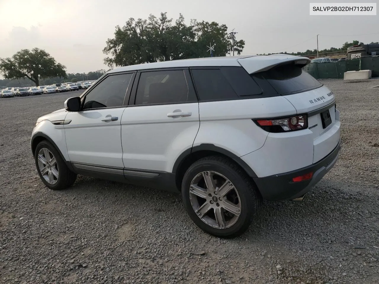 2013 Land Rover Range Rover Evoque Pure Plus VIN: SALVP2BG2DH712307 Lot: 54891794