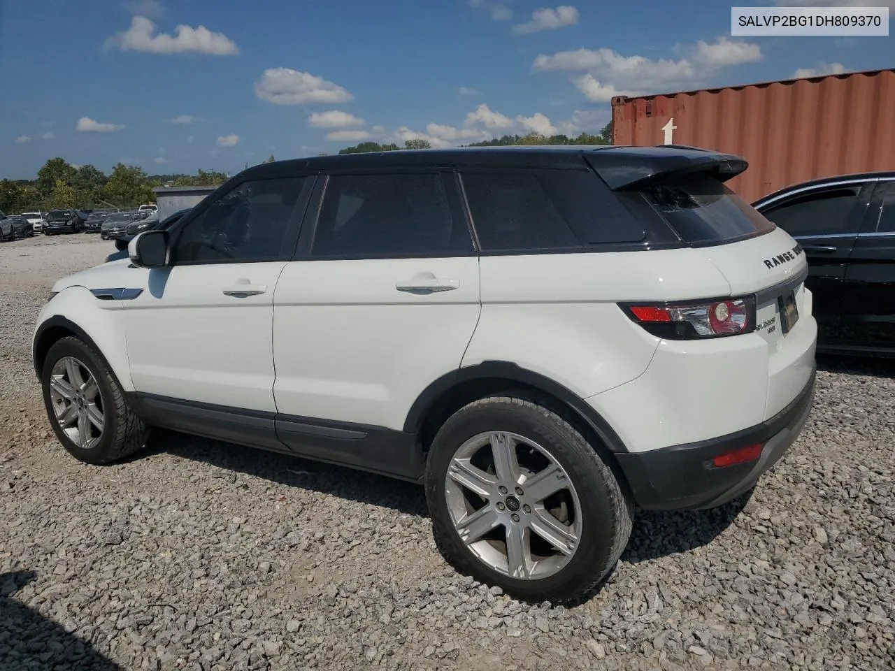 2013 Land Rover Range Rover Evoque Pure Plus VIN: SALVP2BG1DH809370 Lot: 70562934