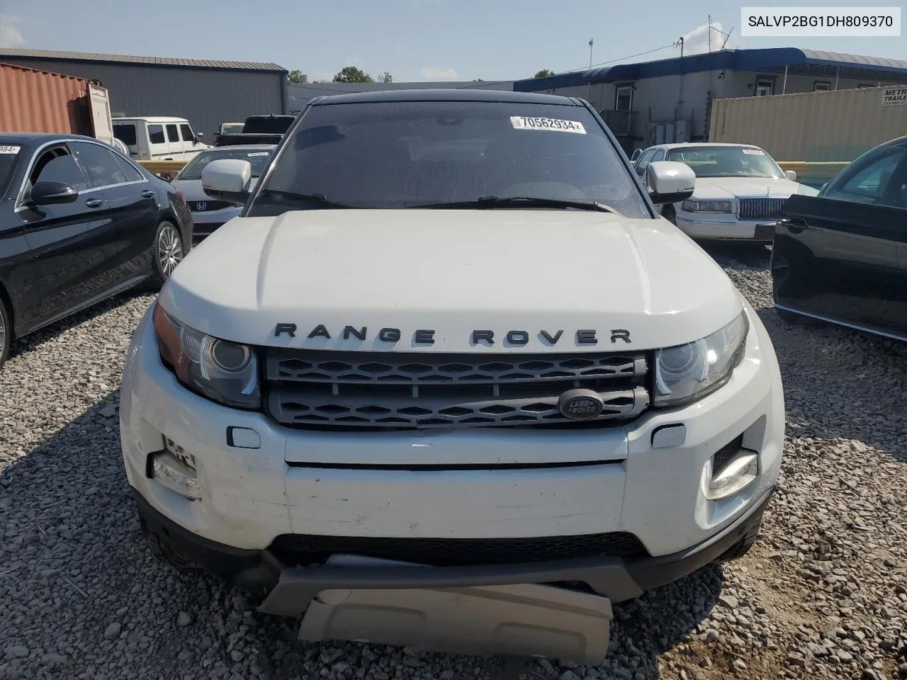 2013 Land Rover Range Rover Evoque Pure Plus VIN: SALVP2BG1DH809370 Lot: 70562934