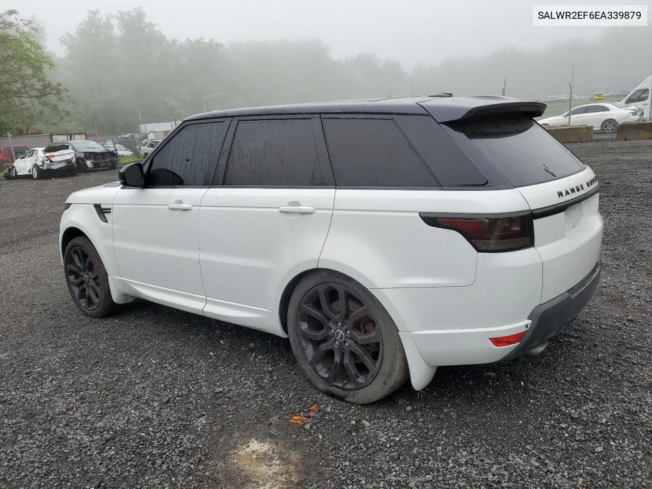 2014 Land Rover Range Rover Sport Sc VIN: SALWR2EF6EA339879 Lot: 53573314