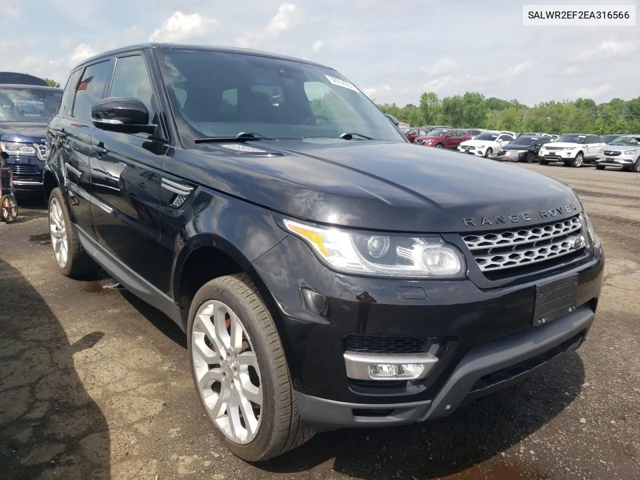 2014 Land Rover Range Rover Sport Sc VIN: SALWR2EF2EA316566 Lot: 56054064