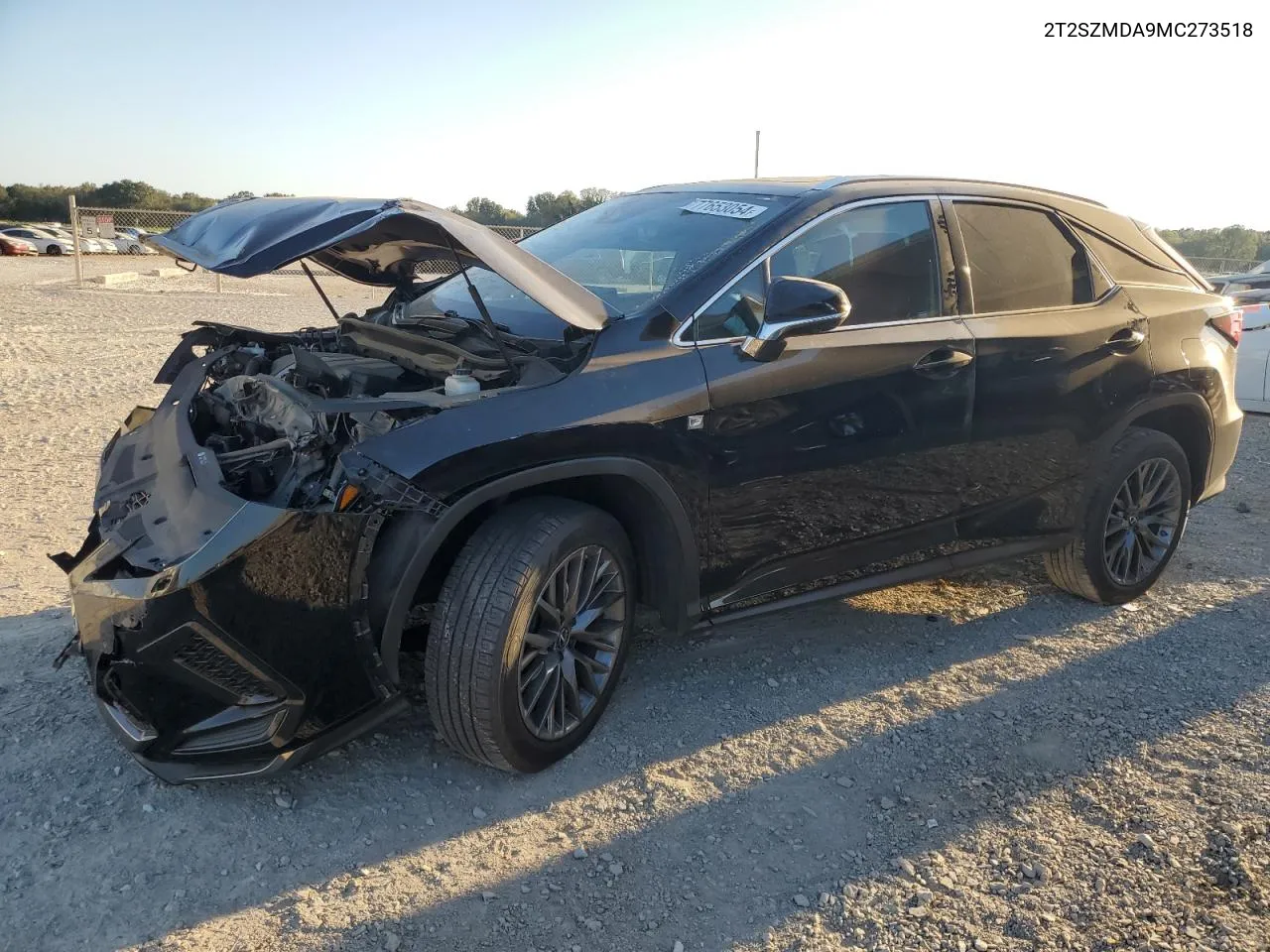 2021 Lexus RX