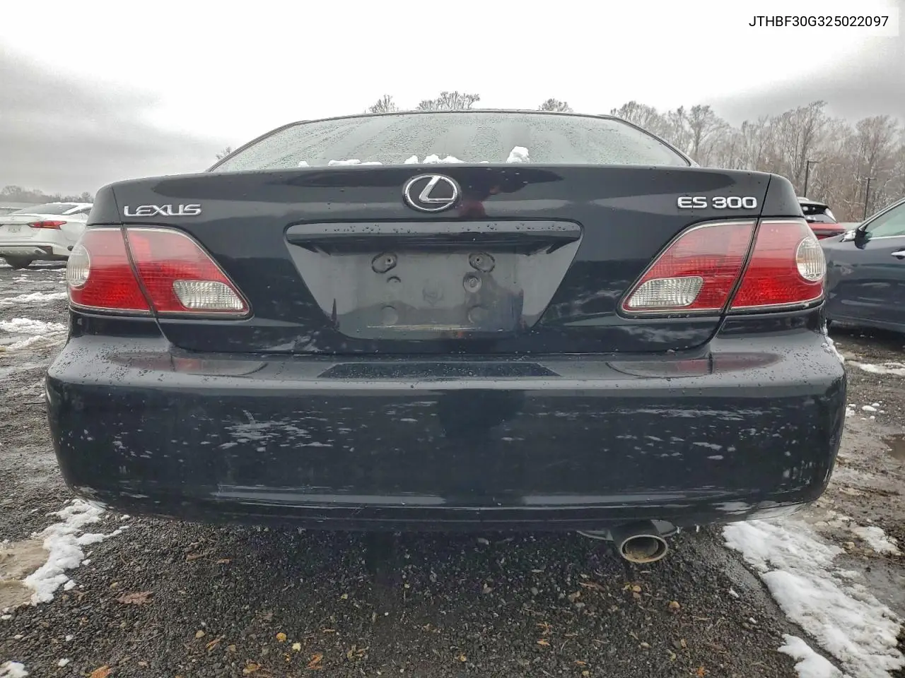 JTHBF30G325022097 2002 Lexus Es 300