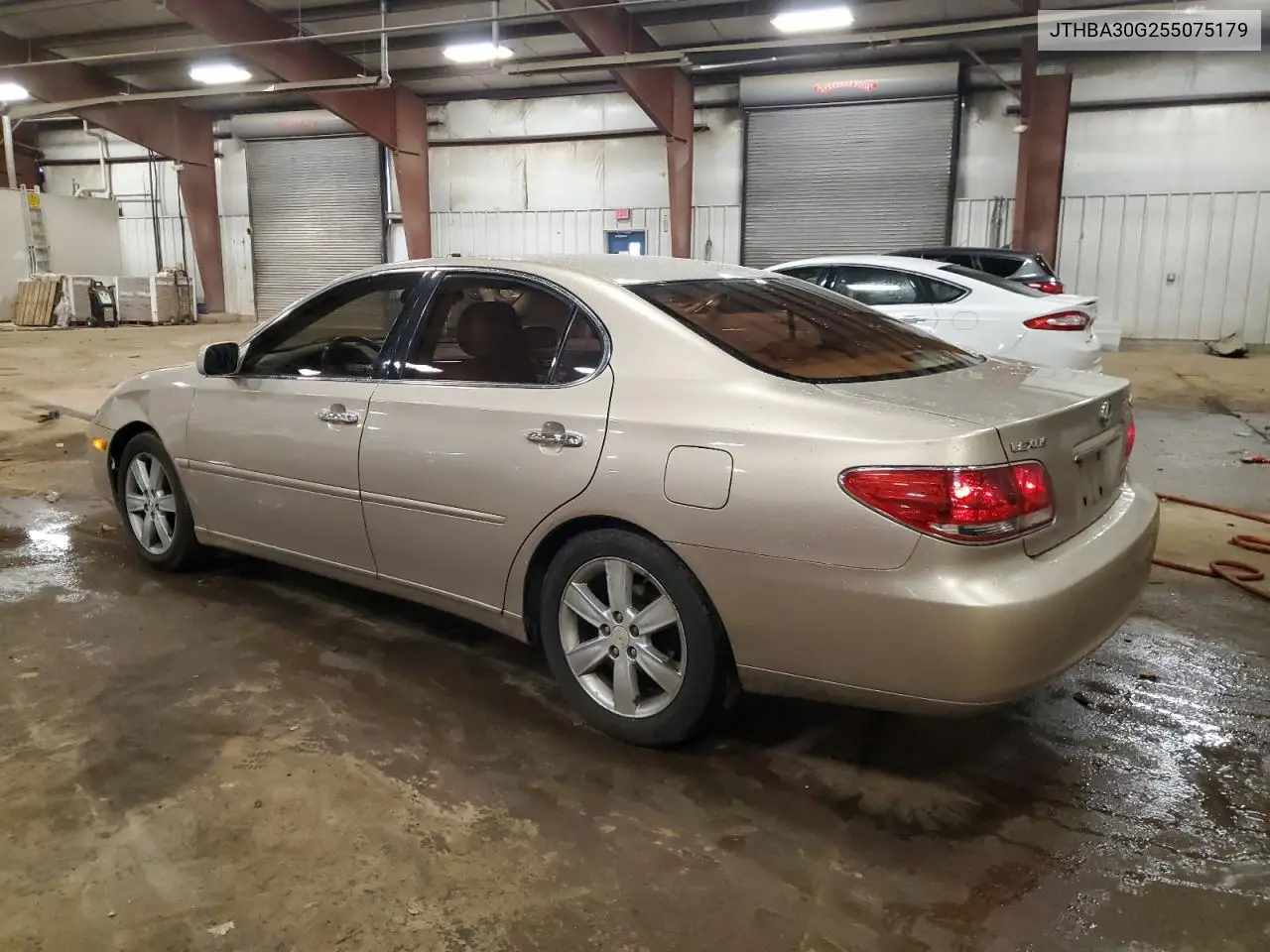 JTHBA30G255075179 2005 Lexus Es 330