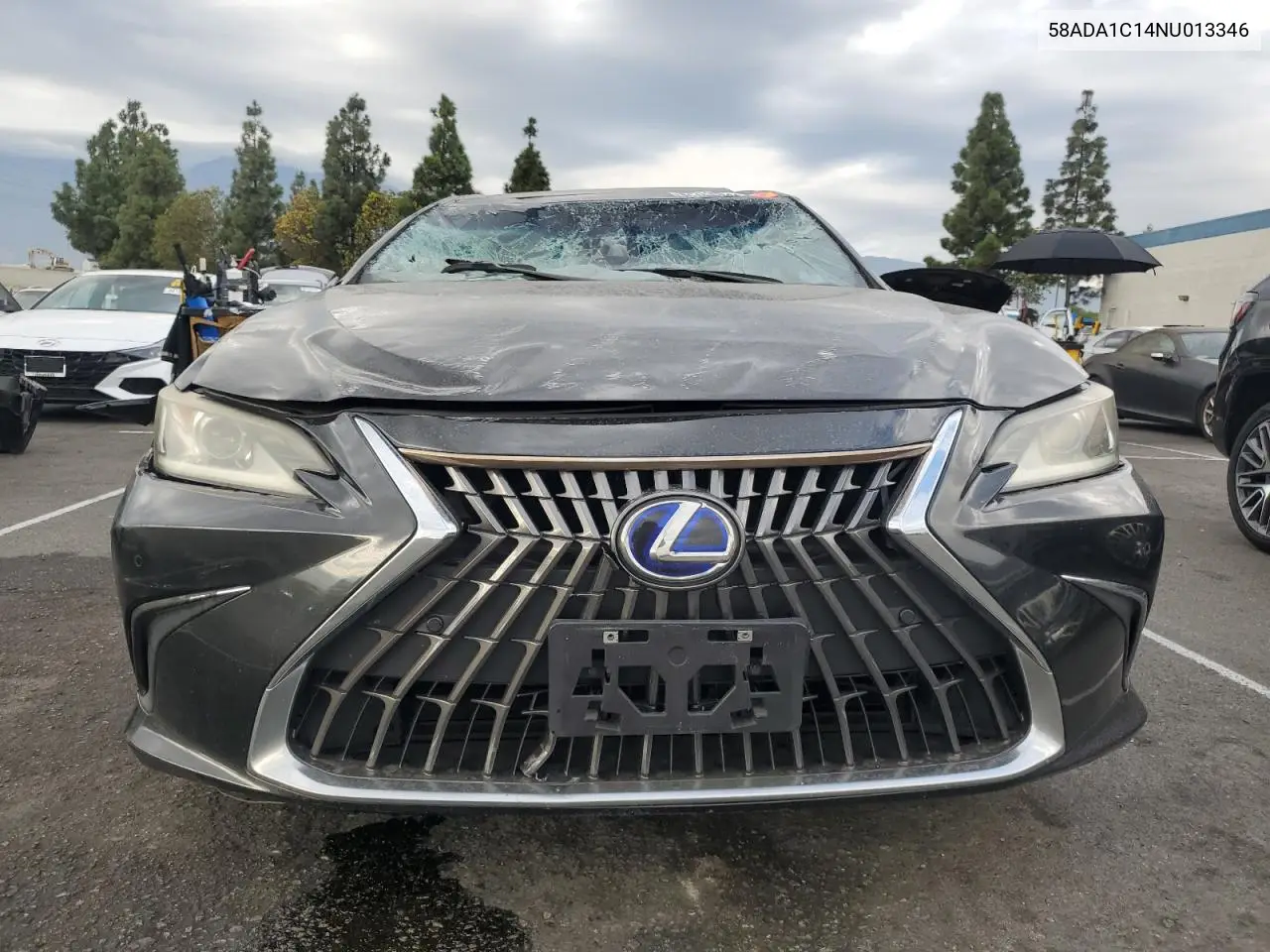 58ADA1C14NU013346 2022 Lexus Es 300H Base