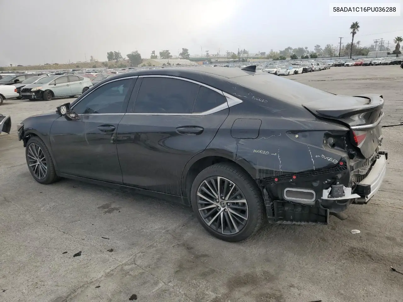 58ADA1C16PU036288 2023 Lexus Es 300H Base