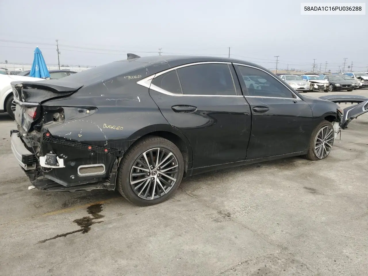 58ADA1C16PU036288 2023 Lexus Es 300H Base