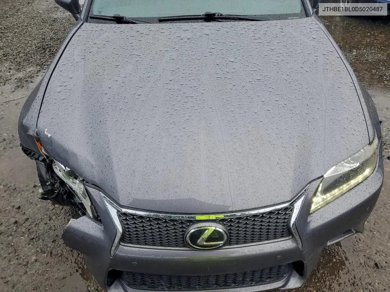 JTHBE1BL0D5020487 2013 Lexus Gs 350