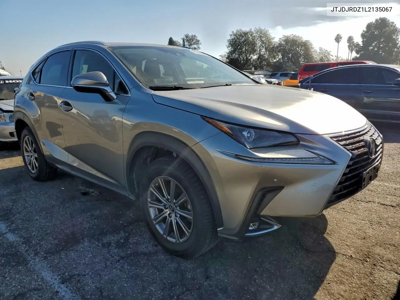 JTJDJRDZ1L2135067 2020 Lexus Nx 300H