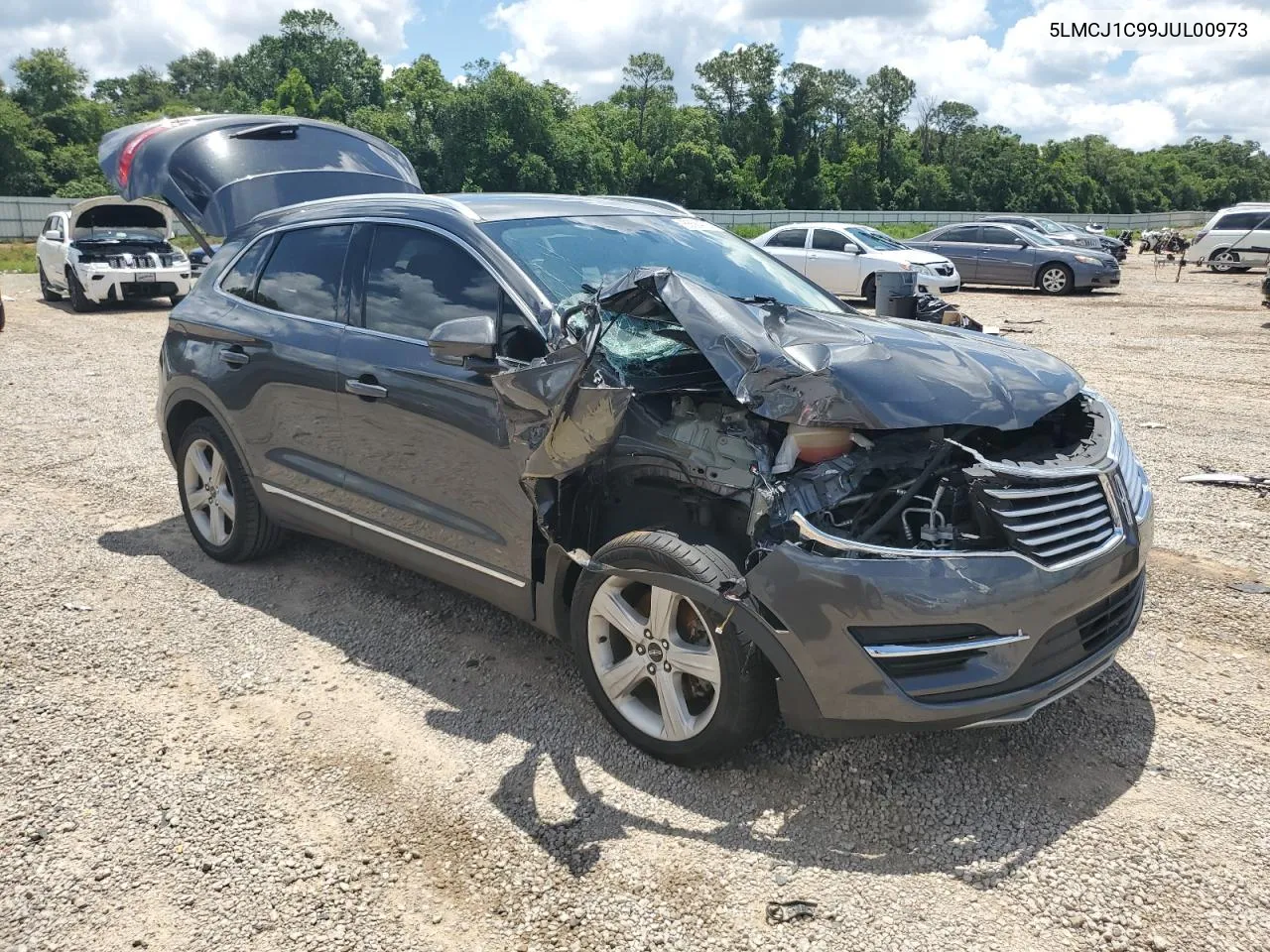 2018 Lincoln Mkc Premiere VIN: 5LMCJ1C99JUL00973 Lot: 55564724