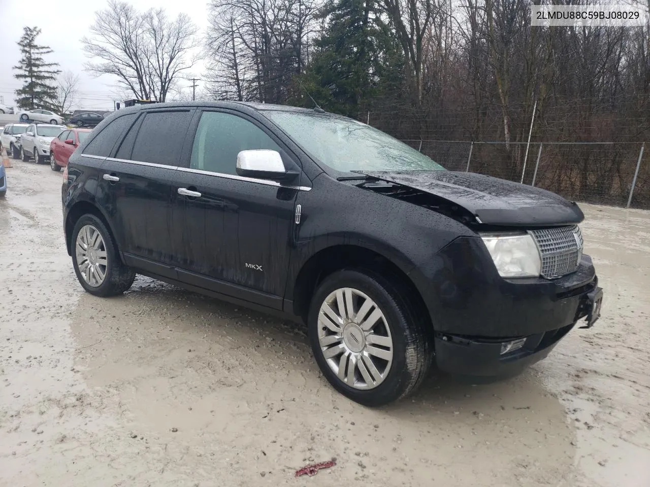 2009 Lincoln Mkx VIN: 2LMDU88C59BJ08029 Lot: 39962144