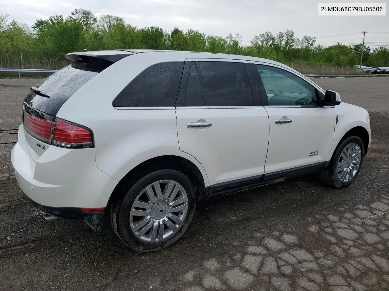 2009 Lincoln Mkx VIN: 2LMDU68C79BJ05606 Lot: 53480254