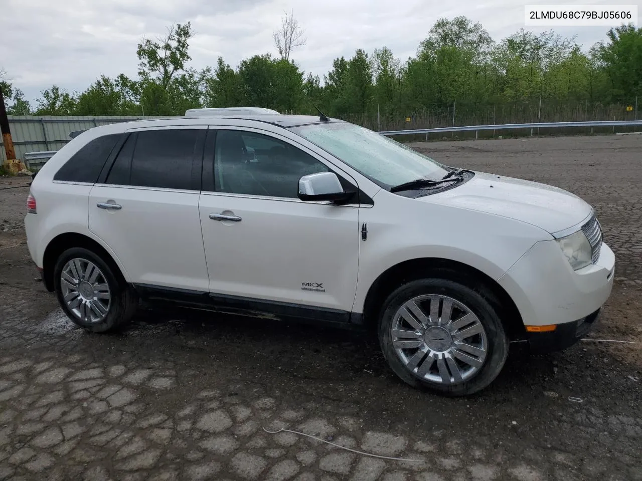 2009 Lincoln Mkx VIN: 2LMDU68C79BJ05606 Lot: 53480254