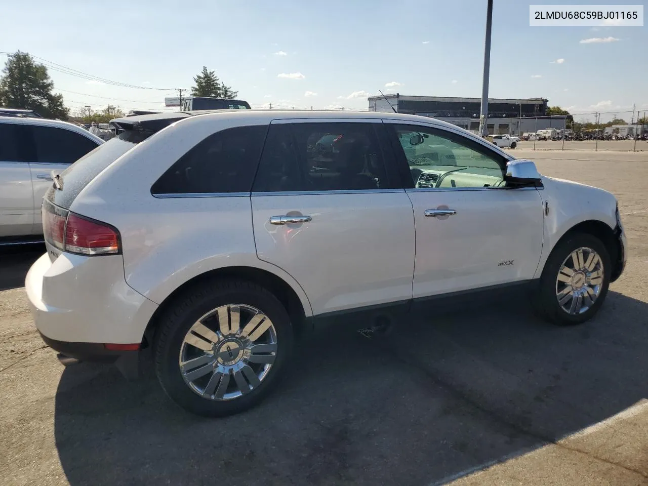 2009 Lincoln Mkx VIN: 2LMDU68C59BJ01165 Lot: 72413584