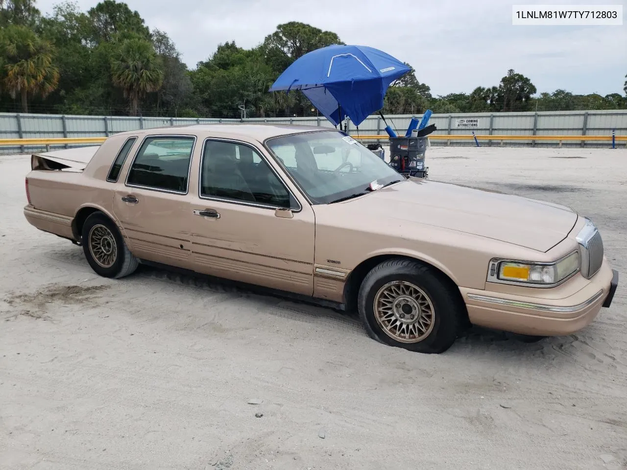 1LNLM81W7TY712803 1996 Lincoln Town Car Executive