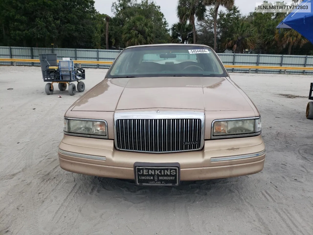 1996 Lincoln Town Car Executive VIN: 1LNLM81W7TY712803 Lot: 54544684