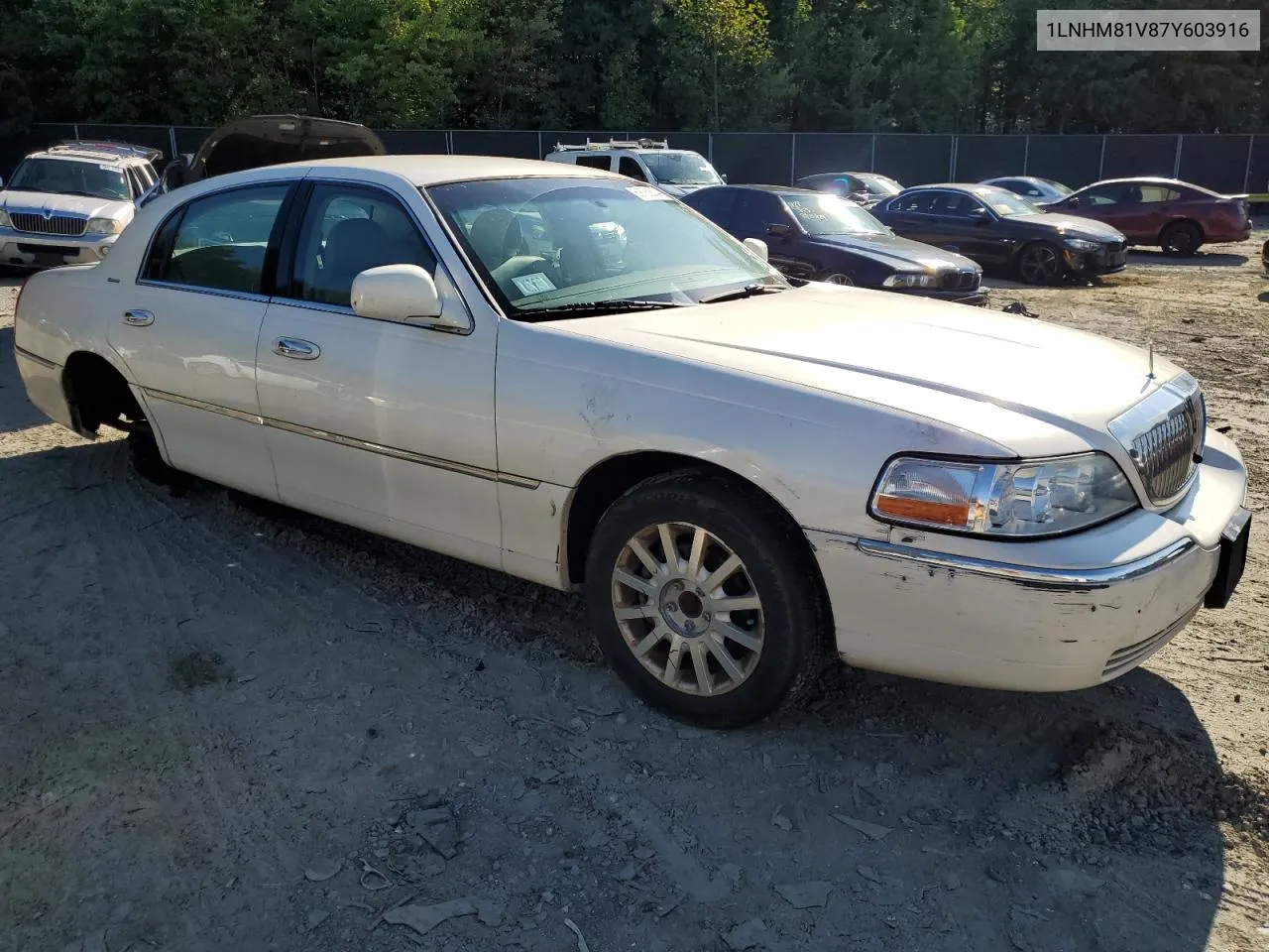 1LNHM81V87Y603916 2007 Lincoln Town Car Signature