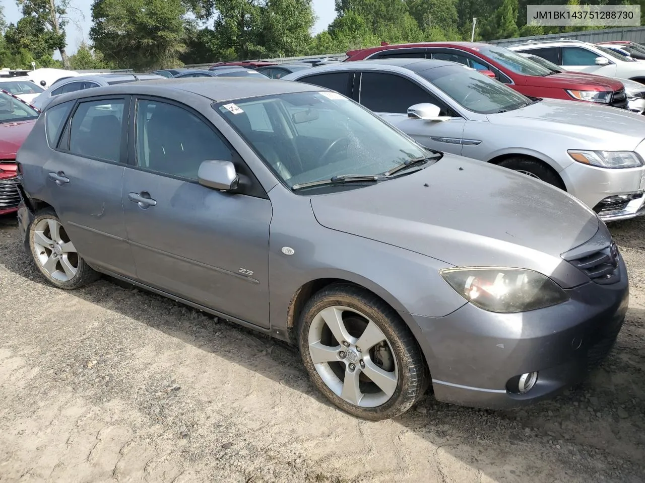 2005 Mazda 3 Hatchback VIN: JM1BK143751288730 Lot: 65882604