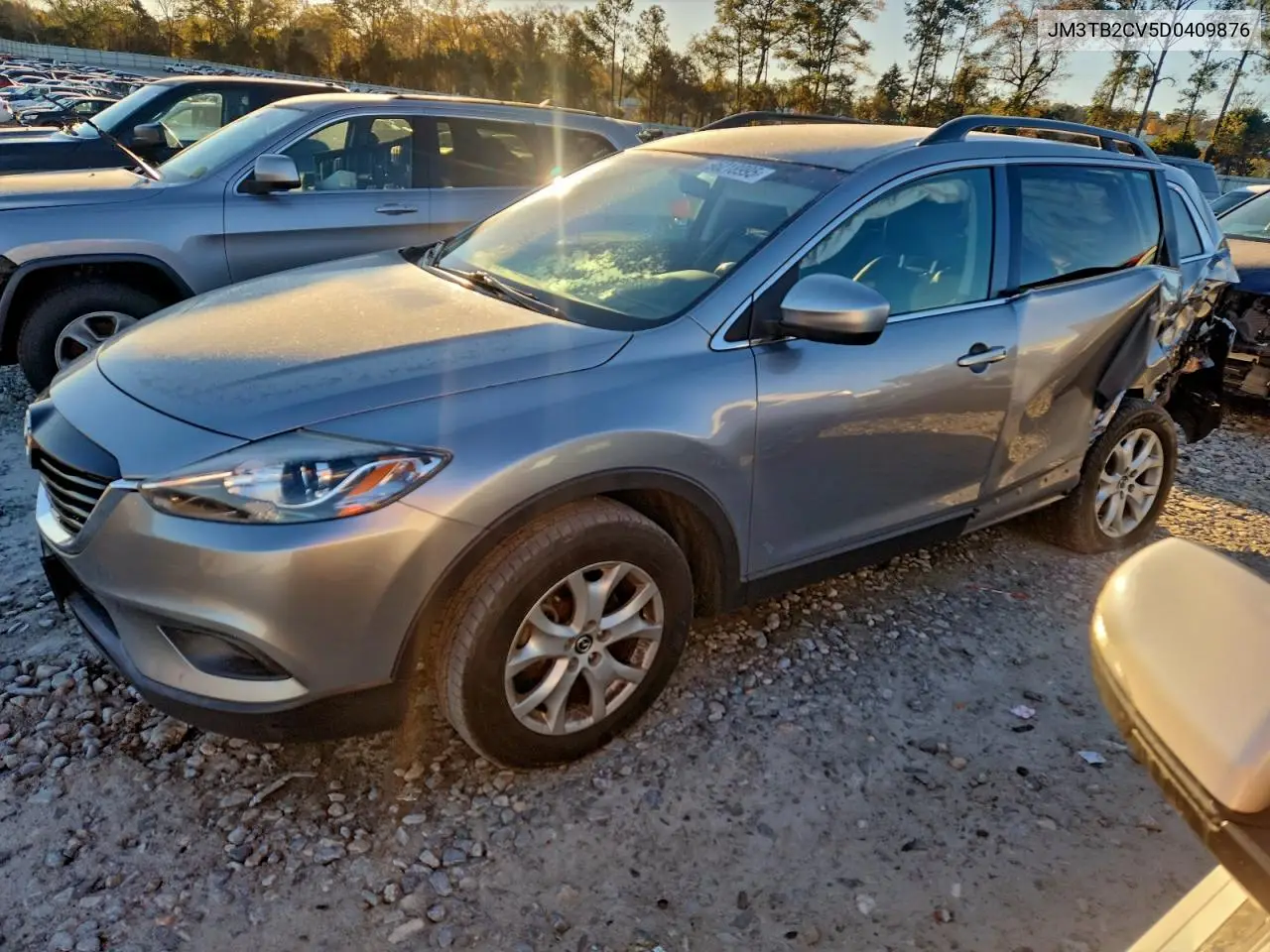 JM3TB2CV5D0409876 2013 Mazda Cx-9 Touring
