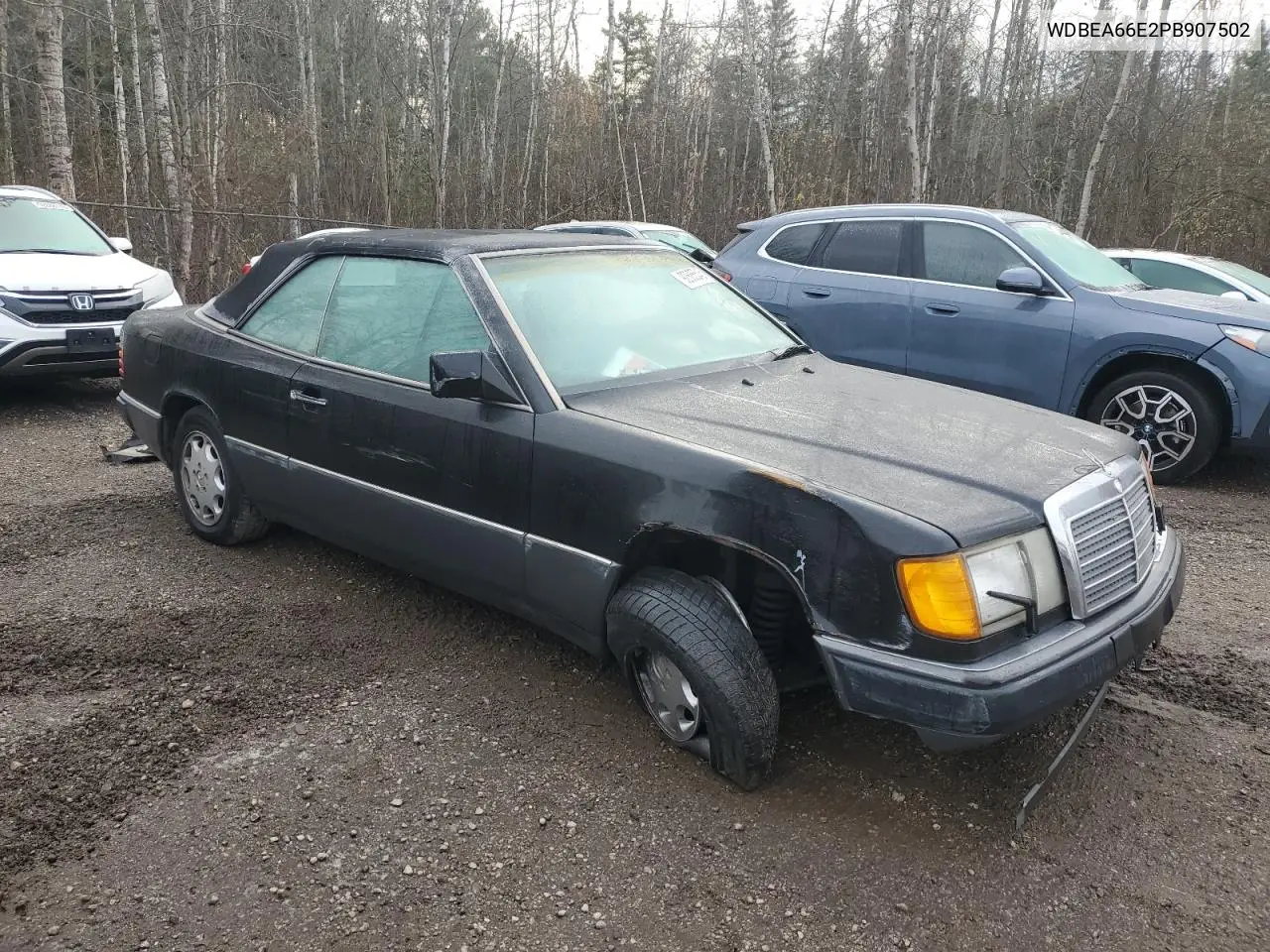 WDBEA66E2PB907502 1993 Mercedes-Benz 300 Cecv