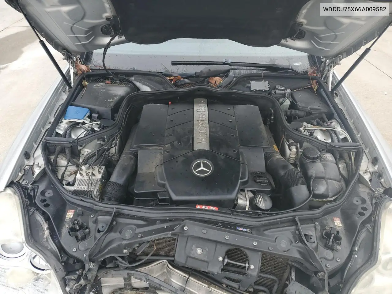 WDDDJ75X66A009582 2006 Mercedes-Benz Cls 500C