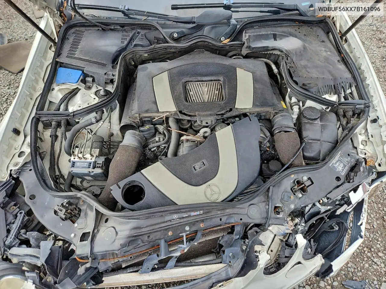 WDBUF56XX7B161096 2007 Mercedes-Benz E 350