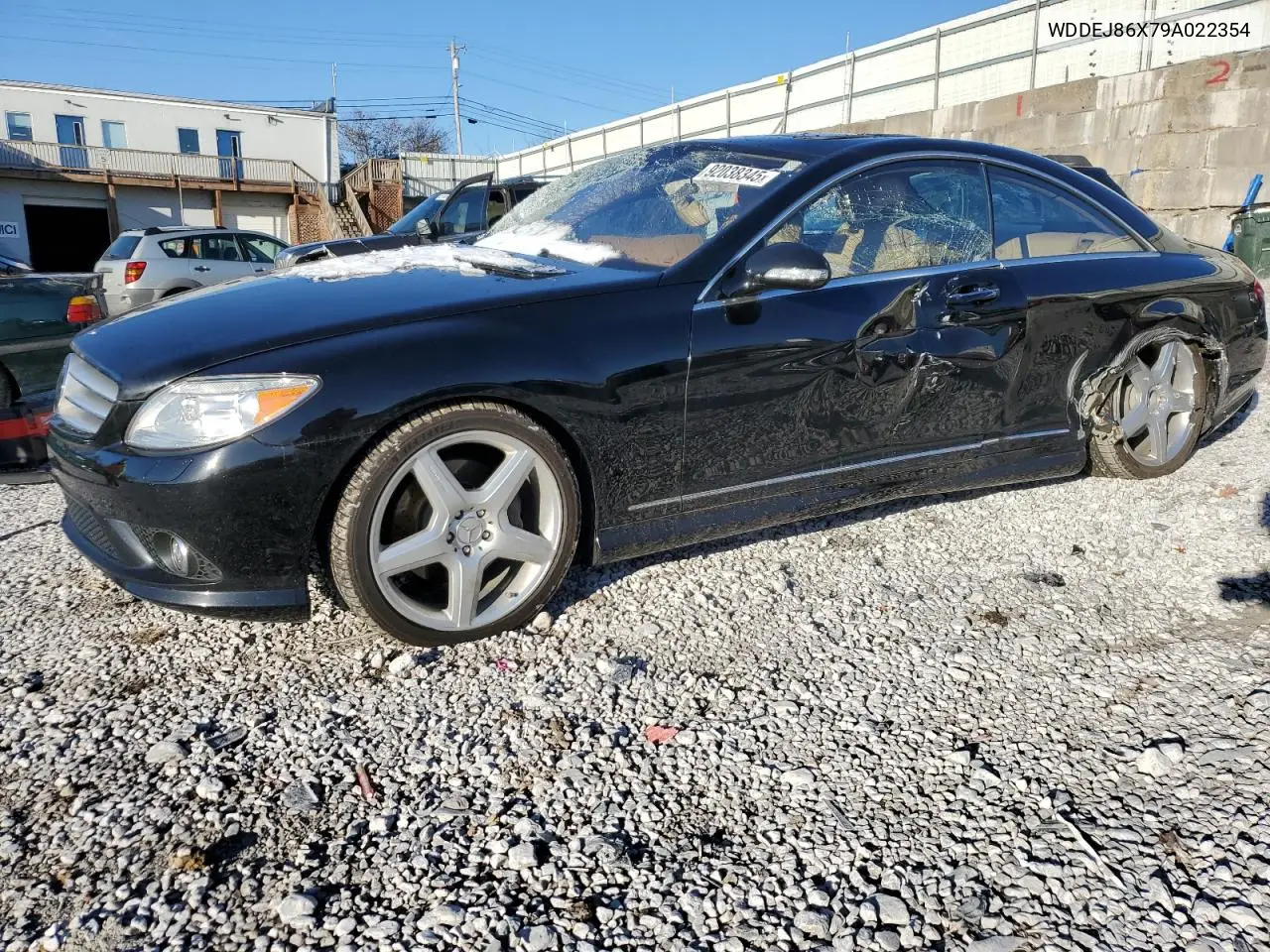 WDDEJ86X79A022354 2009 Mercedes-Benz Cl 550 4Matic