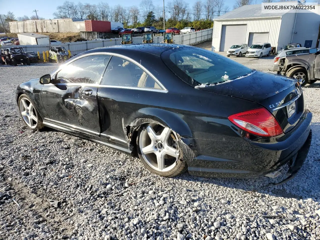 WDDEJ86X79A022354 2009 Mercedes-Benz Cl 550 4Matic