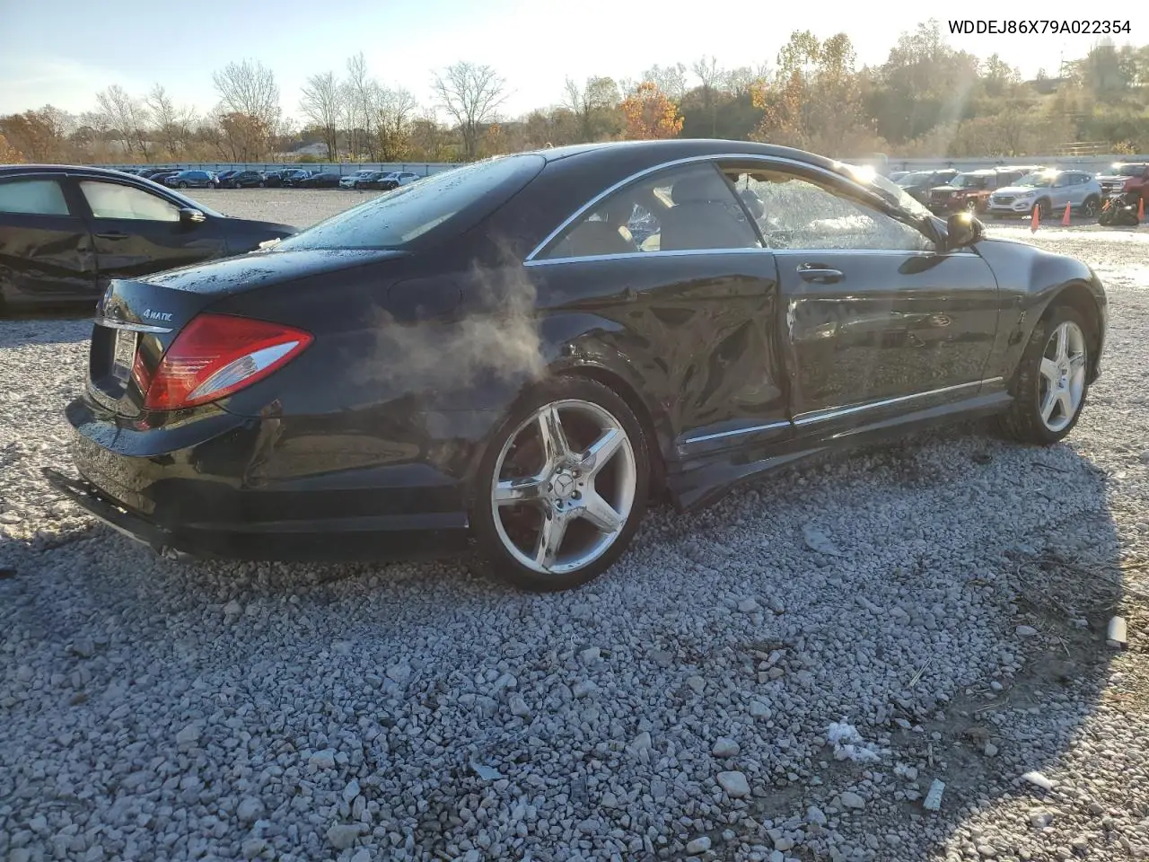WDDEJ86X79A022354 2009 Mercedes-Benz Cl 550 4Matic