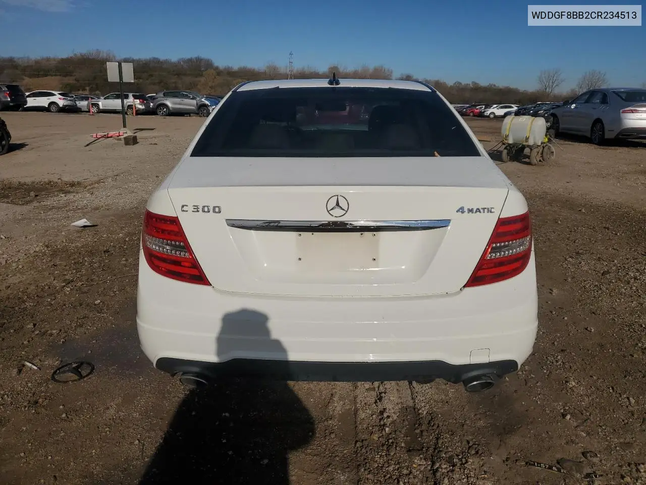 WDDGF8BB2CR234513 2012 Mercedes-Benz C 300 4Matic