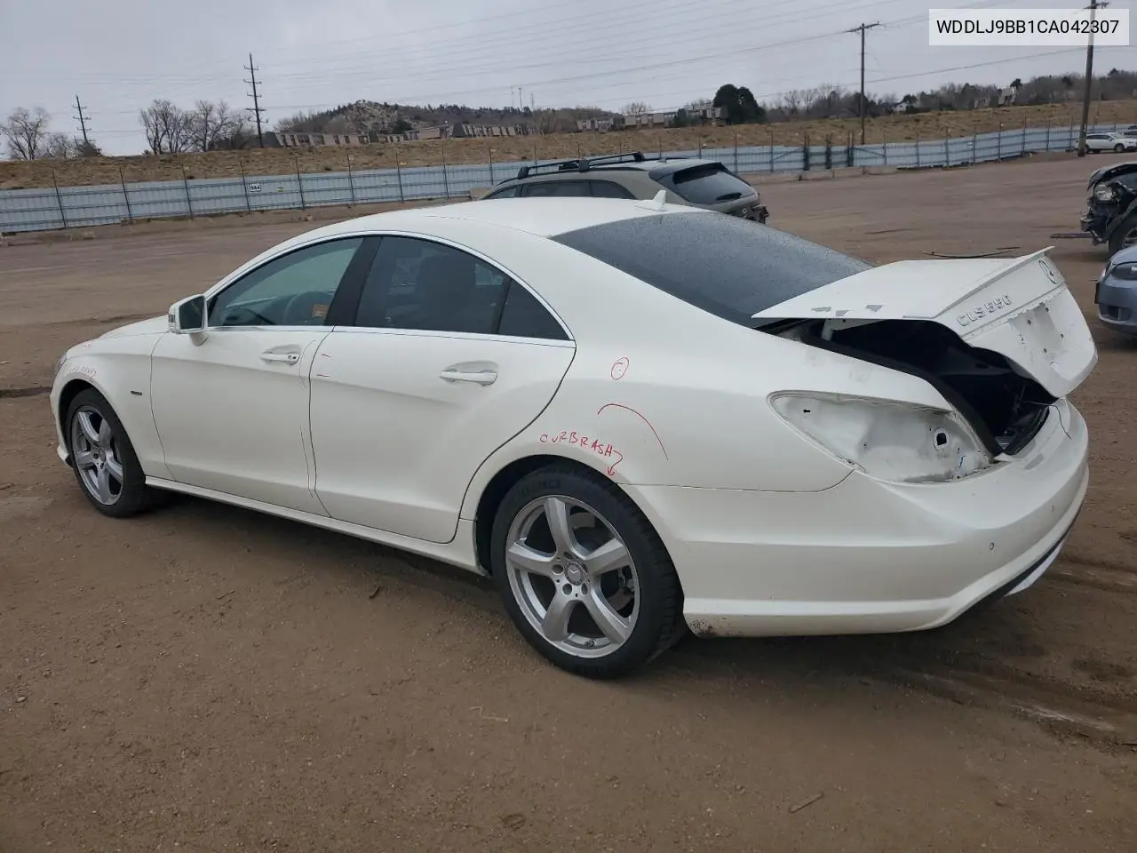 WDDLJ9BB1CA042307 2012 Mercedes-Benz Cls 550 4Matic