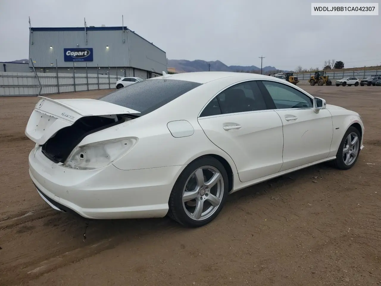 WDDLJ9BB1CA042307 2012 Mercedes-Benz Cls 550 4Matic