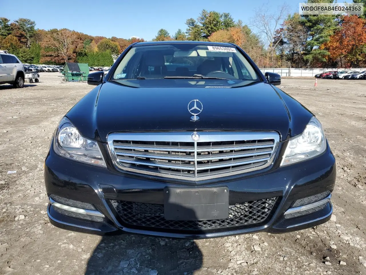 WDDGF8AB4EG244363 2014 Mercedes-Benz C 300 4Matic