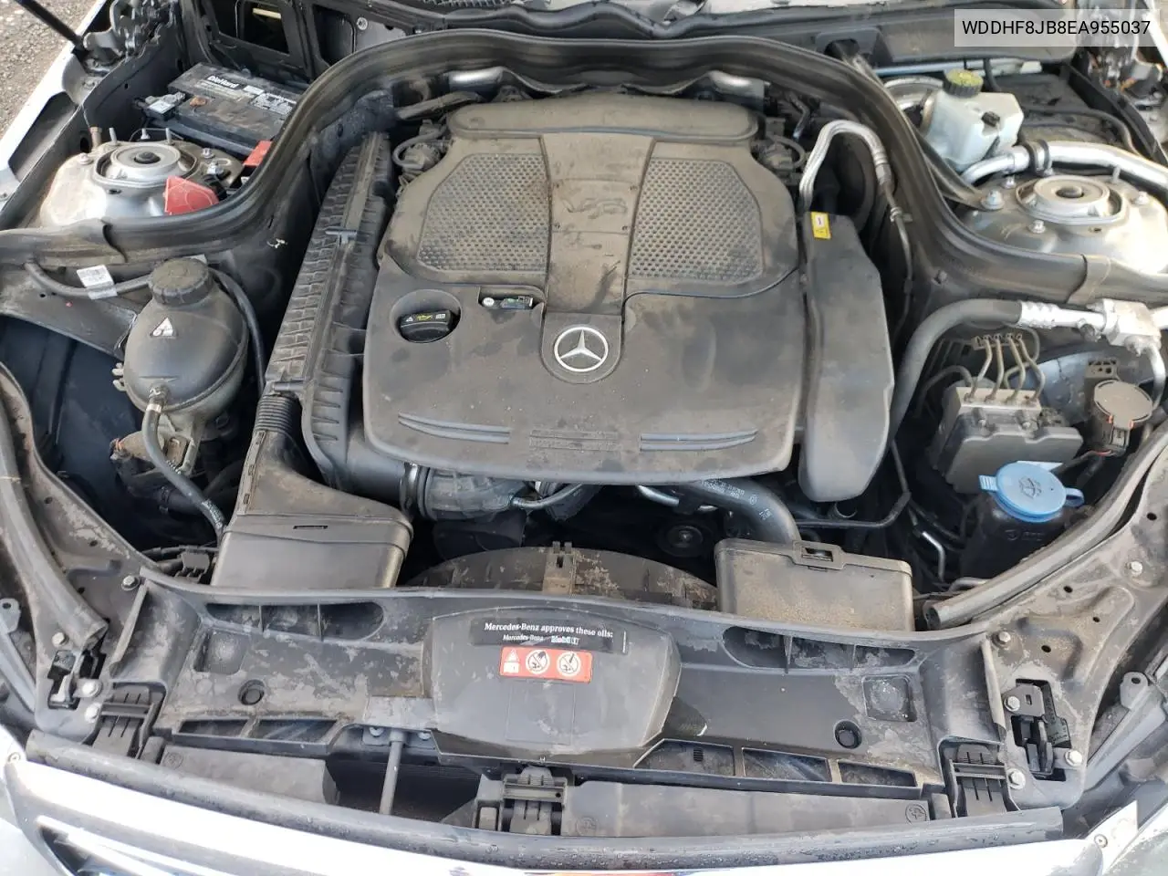 WDDHF8JB8EA955037 2014 Mercedes-Benz E 350 4Matic