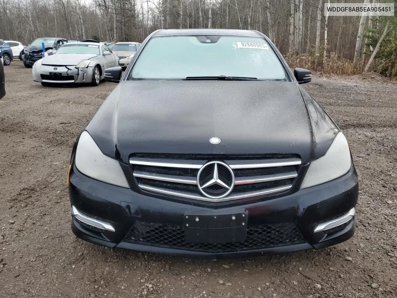 WDDGF8AB5EA905451 2014 Mercedes-Benz C 300 4Matic