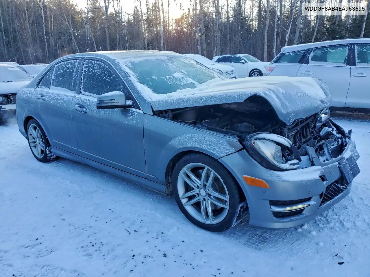 WDDGF8AB4EA963695 2014 Mercedes-Benz C 300 4Matic