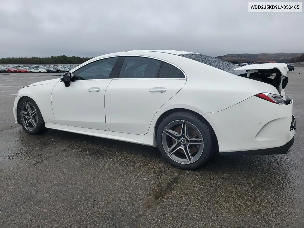 WDD2J5KB9LA050465 2020 Mercedes-Benz Cls 450 4Matic