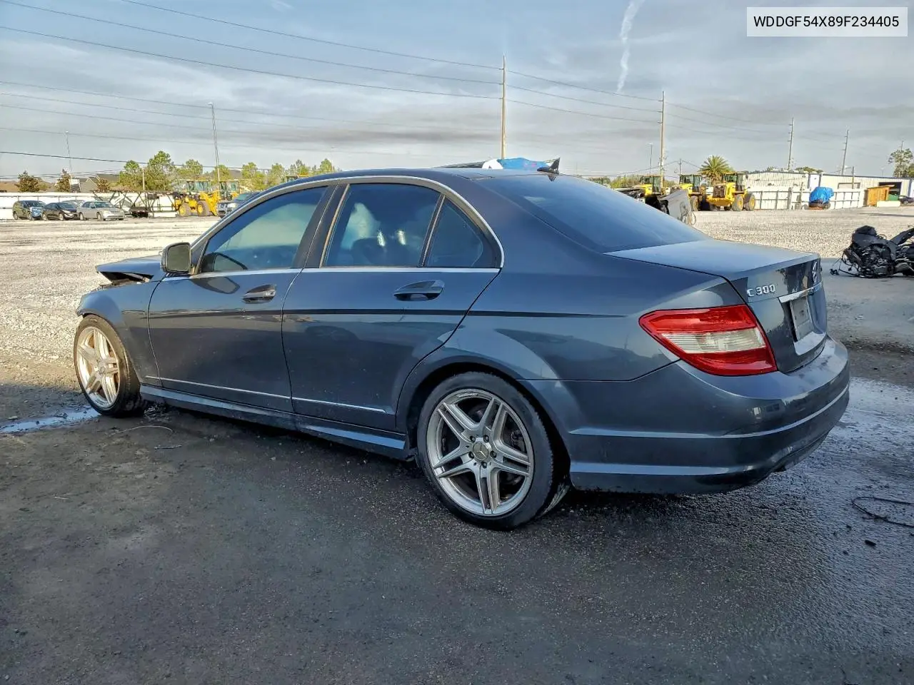 WDDGF54X89F234405 2009 Mercedes-Benz C 300