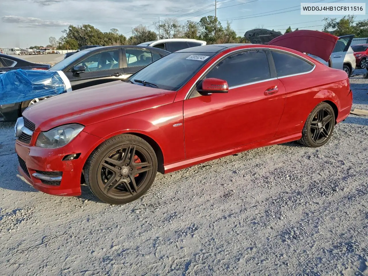 WDDGJ4HB1CF811516 2012 Mercedes-Benz C 250