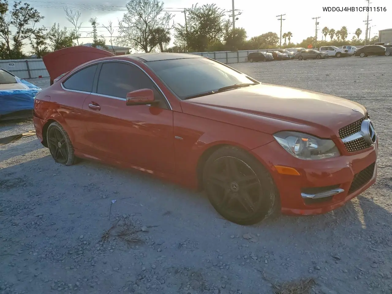 WDDGJ4HB1CF811516 2012 Mercedes-Benz C 250