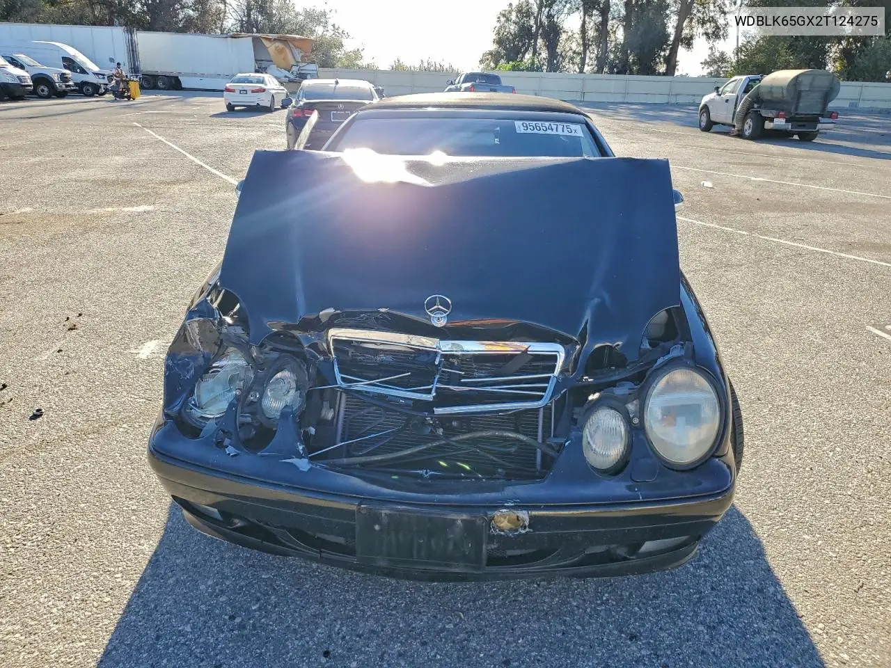 WDBLK65GX2T124275 2002 Mercedes-Benz Clk 320