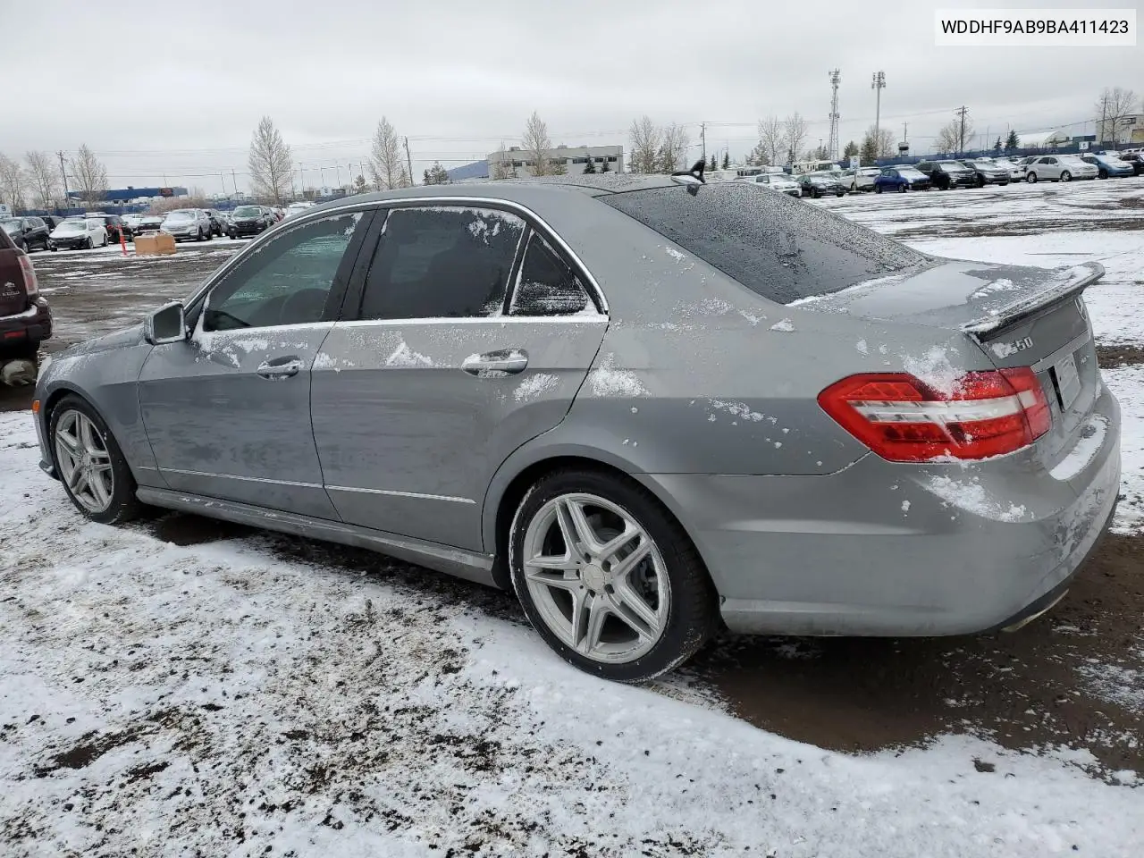 2011 Mercedes-Benz E 550 4Matic VIN: WDDHF9AB9BA411423 Lot: 49166345